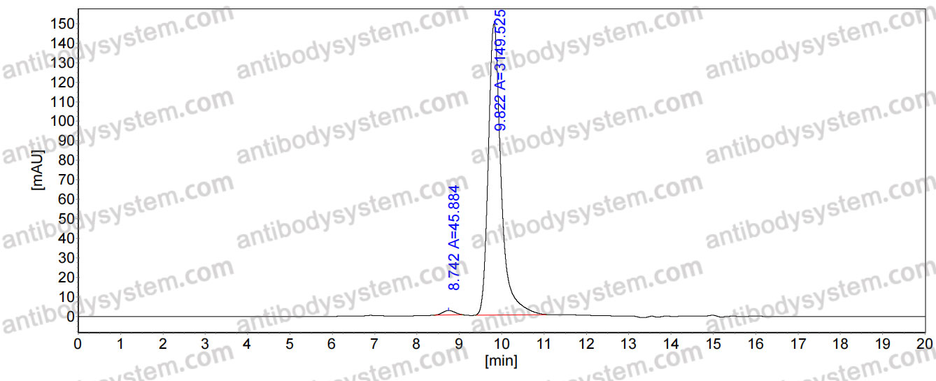 Anti-Coxsackievirus A16/CVA16 Capsid protein/Genome polyprotein Antibody (SAA0355)
